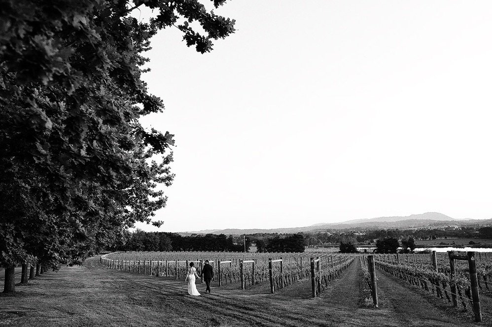 A couple walking through a vineyard with a large tree on the left and rolling hills in the background.