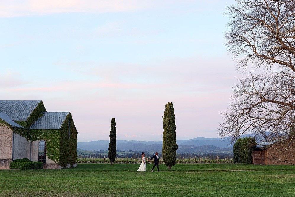 Bride and groom standing in a grassy field, holding hands, with tall cypress trees and a vineyard in the background during sunset.