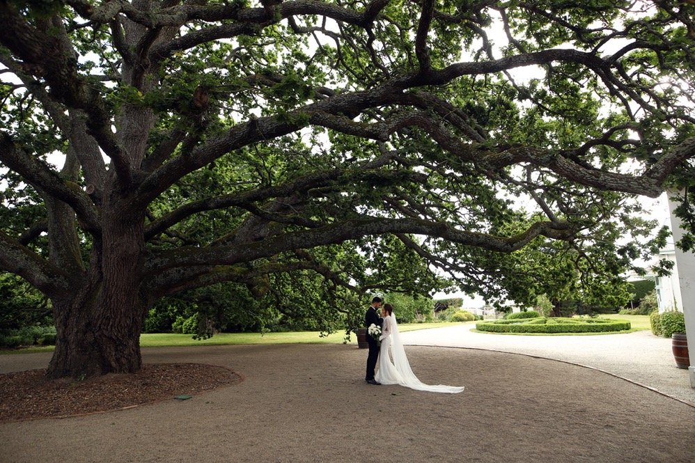 A bride and groom standing under a large tree on a wedding day, holding hands and gazing at each other.