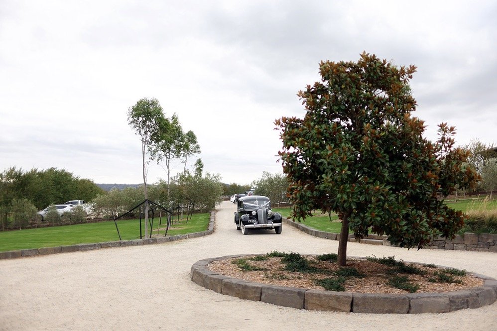 A gravel pathway in a park, with a large tree in a circular brick planter and a vintage black car parked along the path. In the background, there are more trees and a cloudy sky.