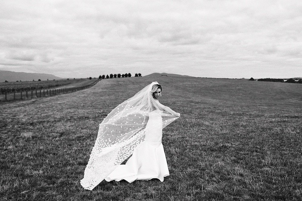 A bride wearing a wedding dress and veil standing in an open grassy field, holding her veil out, with a cloudy sky and distant trees in the background.