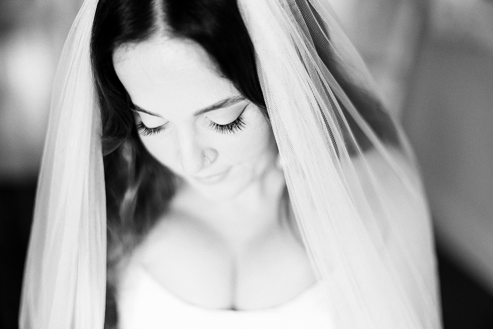 A moment from Jess & Ross's wedding story at Zonzo Estate, story image 3