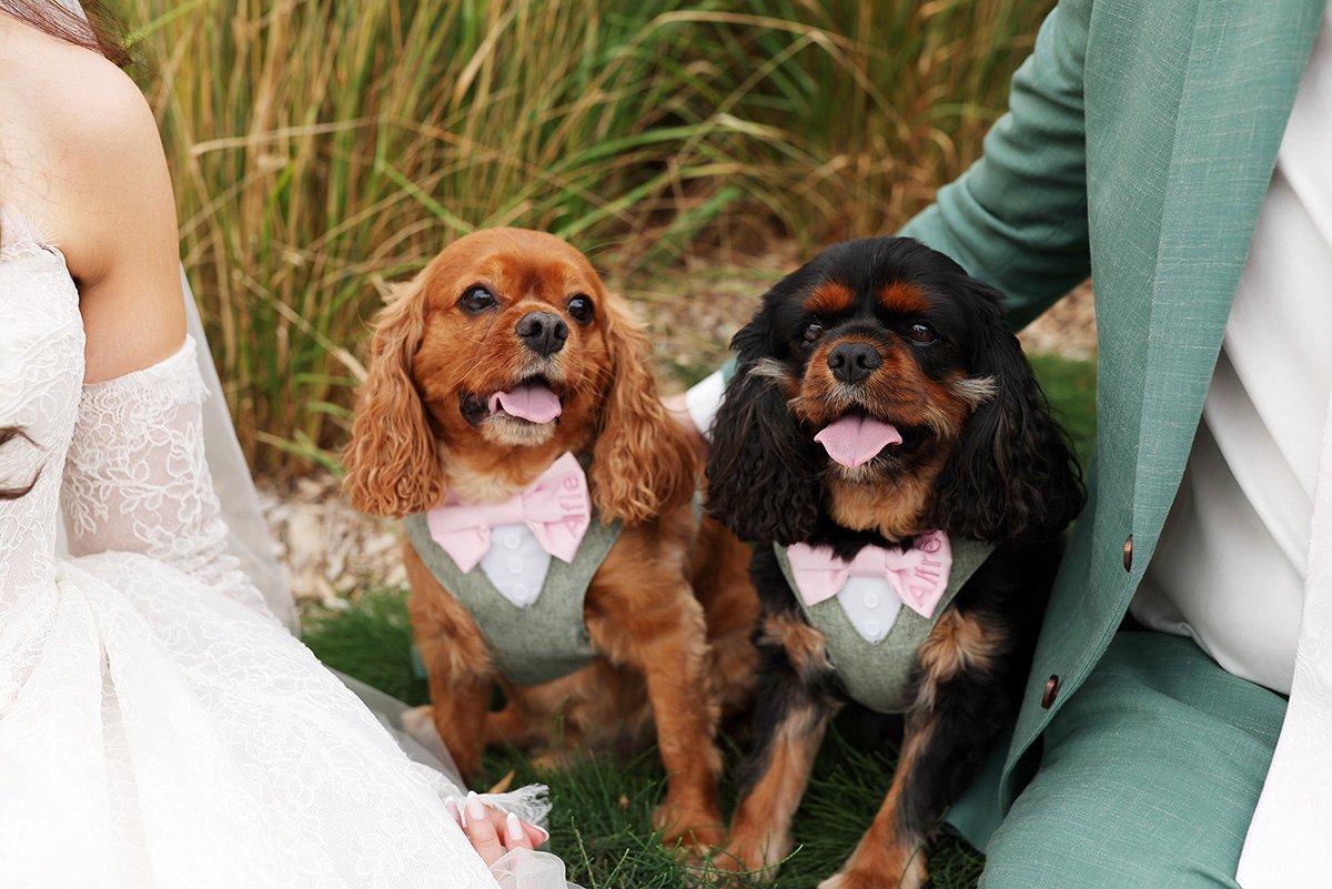 A moment from Kylie & Sam's wedding story at Zonzo Estate, story image 11