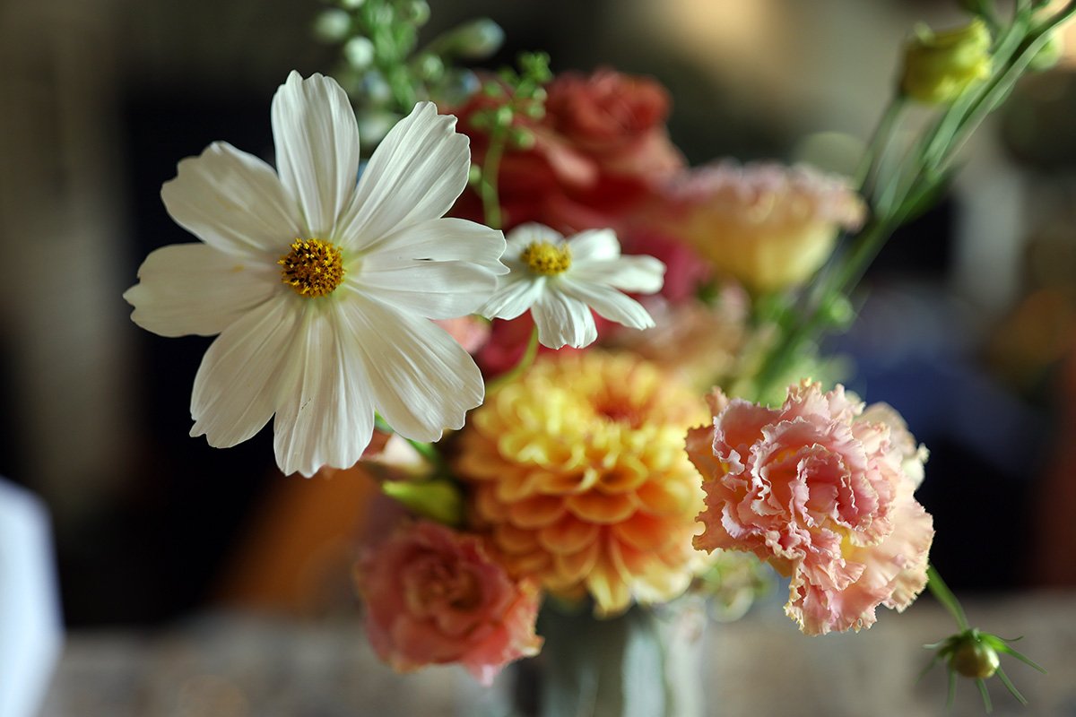 A moment from Emma & Bryn's wedding story at Sault