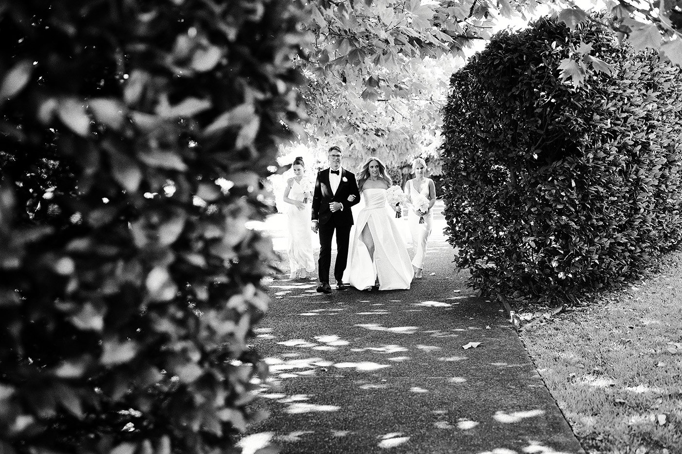 A moment from Tahlia & Alex's wedding story at Yering Station, story image 3