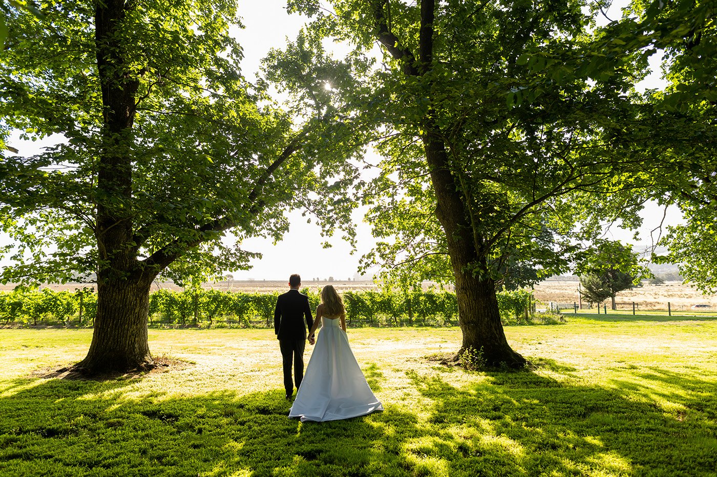 A moment from Tahlia & Alex's wedding story at Yering Station, story image 12