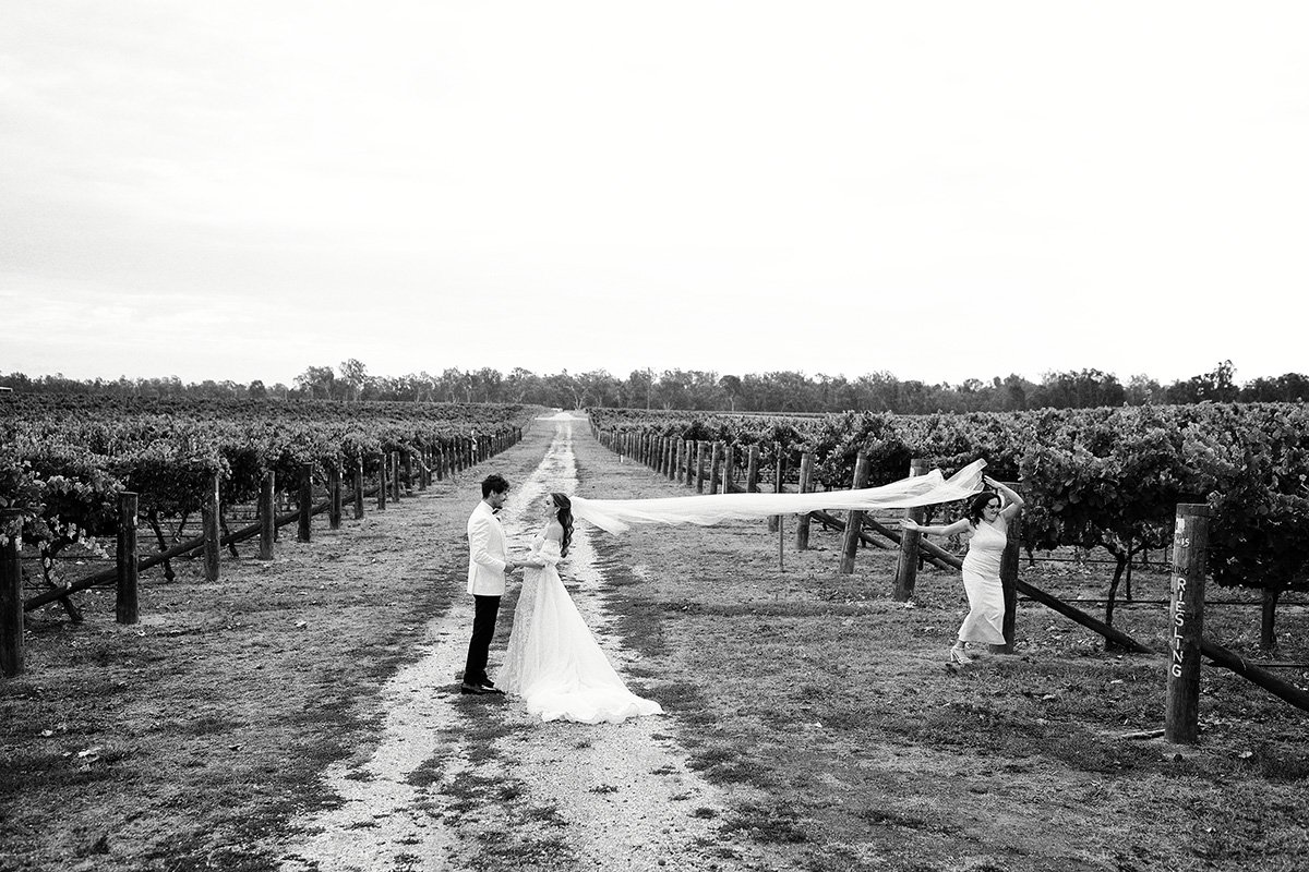 A moment from Raffaella & Chris's wedding story at Mitchelton Estate, story image 11